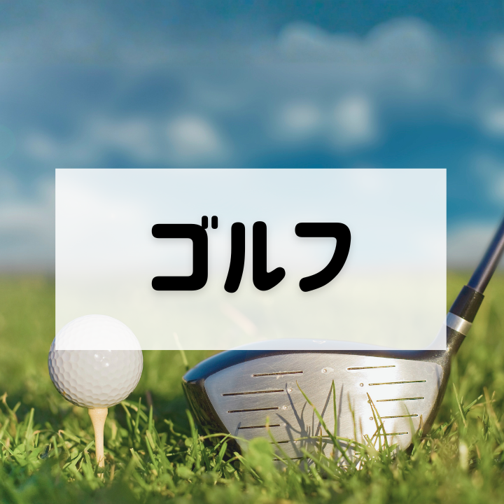 ゴルフアイキャッチ