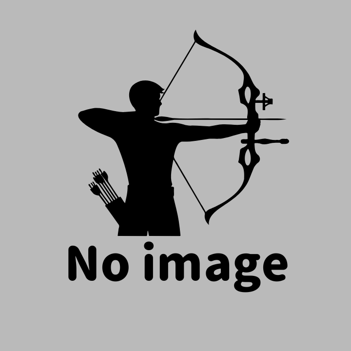 アーチェリー noimage